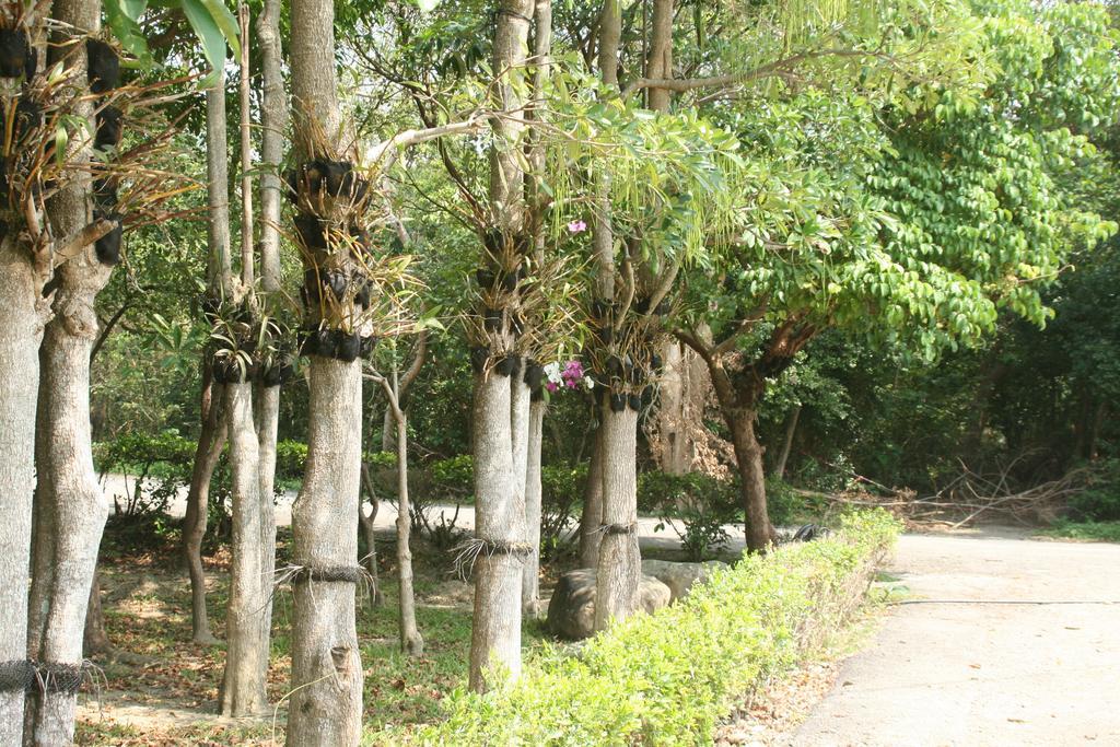Manzhou Butterfly B&B المظهر الخارجي الصورة